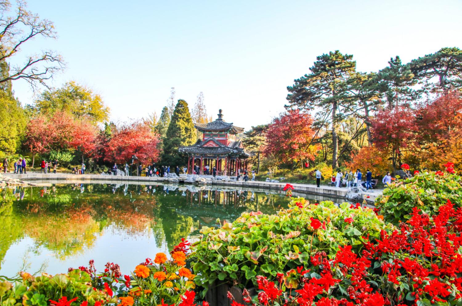 香山红叶.jpg