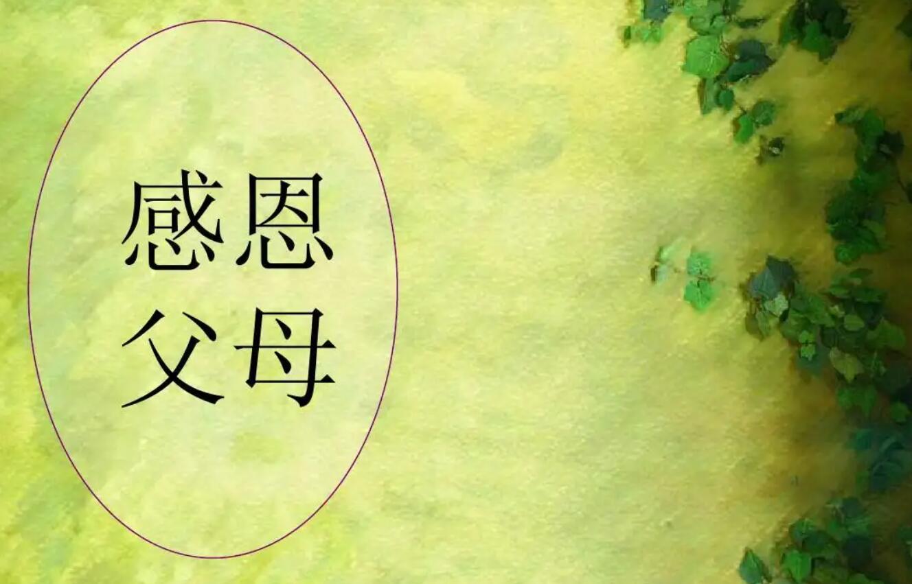 关于父母.jpg