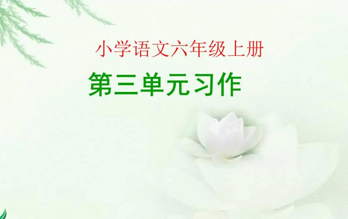 六年级语文作文上下.jpg