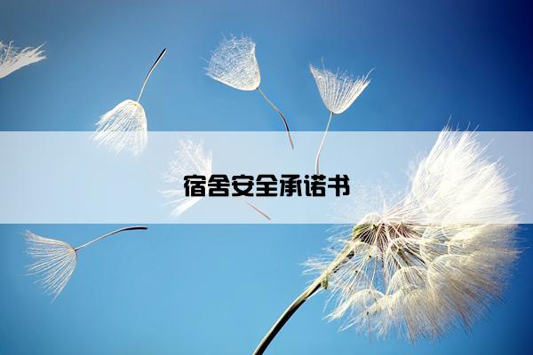 宿舍安全承诺书
