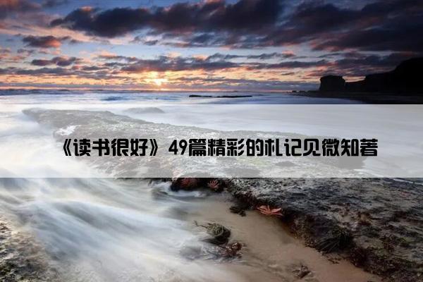 《读书很好》49篇精彩的札记见微知著