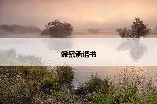 保密承诺书