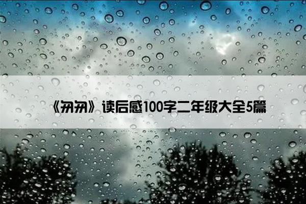 《匆匆》读后感100字二年级大全5篇