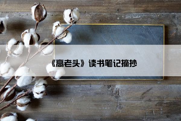 《高老头》读书笔记摘抄