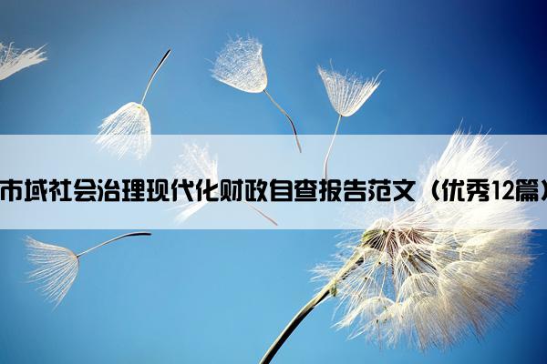 市域社会治理现代化财政自查报告范文（优秀12篇）