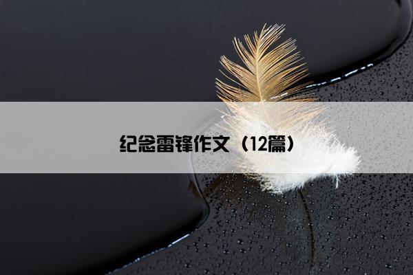 纪念雷锋作文（12篇）