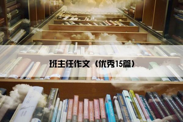 班主任作文（优秀15篇）