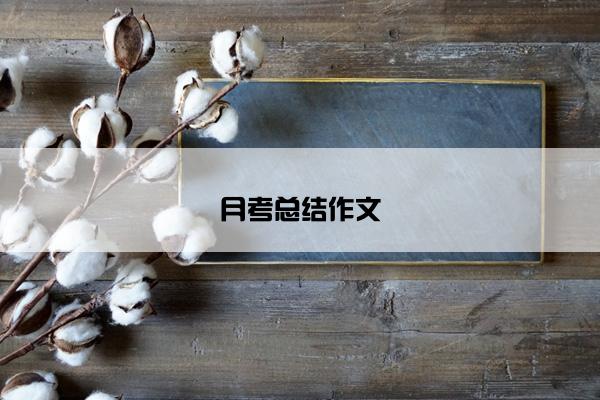 月考总结作文