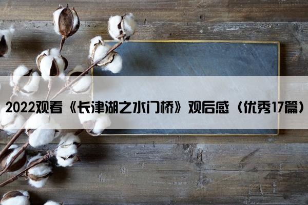 2022观看《长津湖之水门桥》观后感（优秀17篇）
