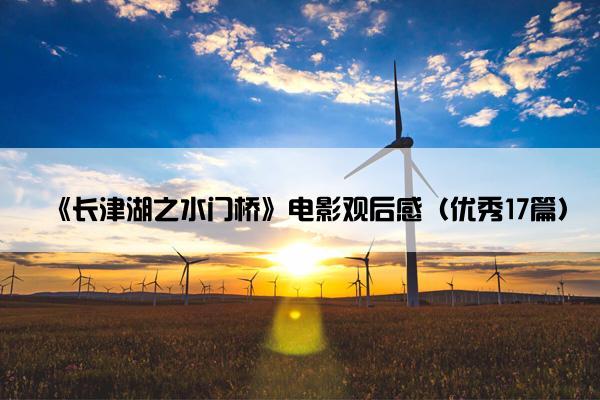 《长津湖之水门桥》电影观后感（优秀17篇）