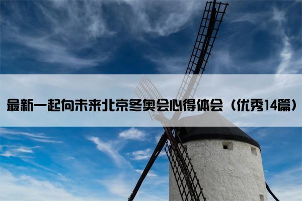 最新一起向未来北京冬奥会心得体会（优秀14篇）