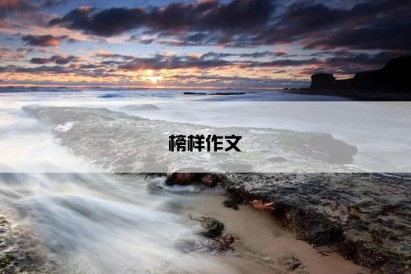 榜样作文