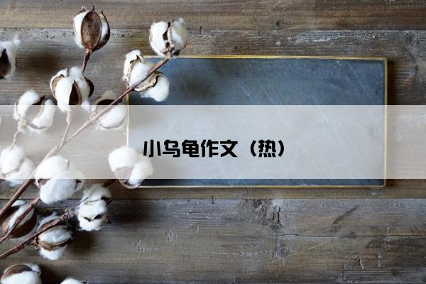 小乌龟作文（热）