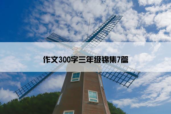 作文300字三年级锦集7篇