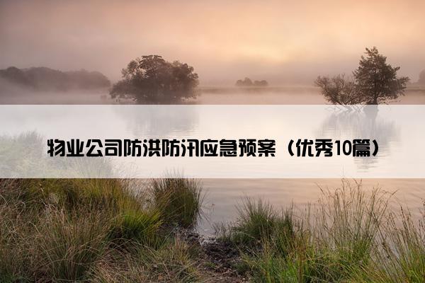 物业公司防洪防汛应急预案（优秀10篇）
