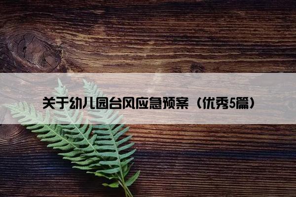 关于幼儿园台风应急预案（优秀5篇）
