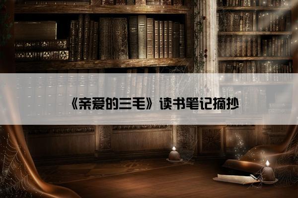《亲爱的三毛》读书笔记摘抄
