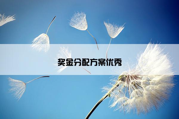 奖金分配方案优秀