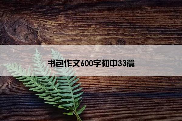 书包作文600字初中33篇