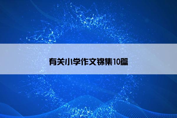 有关小学作文锦集10篇