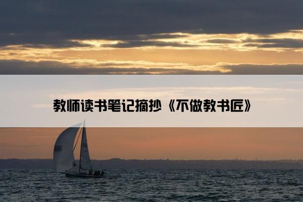 教师读书笔记摘抄《不做教书匠》