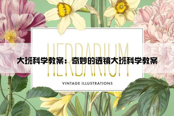 大班科学教案：奇妙的透镜大班科学教案