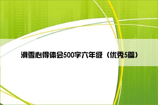 滑雪心得体会500字六年级（优秀5篇）