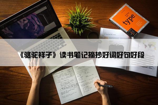 《骆驼祥子》读书笔记摘抄好词好句好段
