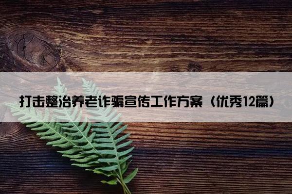 打击整治养老诈骗宣传工作方案（优秀12篇）