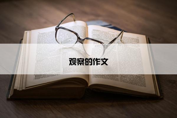 观察的作文