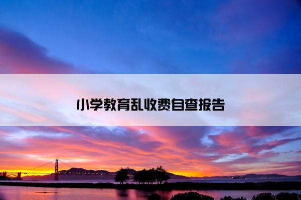小学教育乱收费自查报告