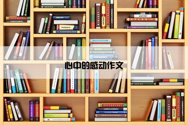心中的感动作文