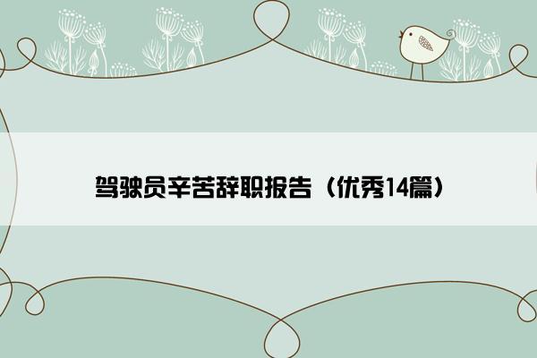 驾驶员辛苦辞职报告（优秀14篇）