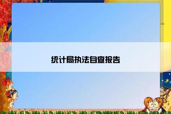 统计局执法自查报告
