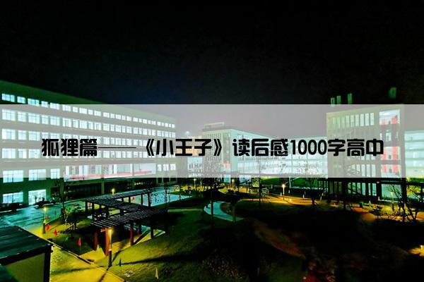 狐狸篇——《小王子》读后感1000字高中