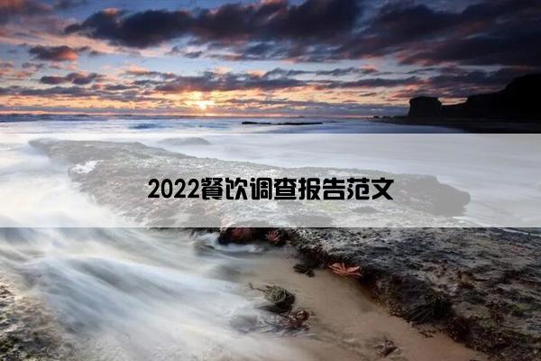 2022餐饮调查报告范文