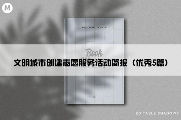 文明城市创建志愿服务活动简报（优秀5篇）