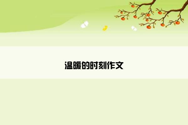 温暖的时刻作文