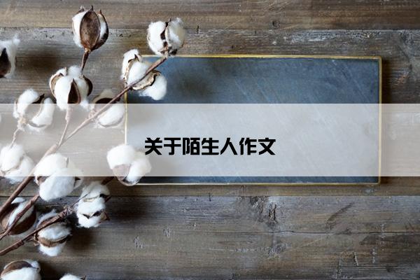 关于陌生人作文