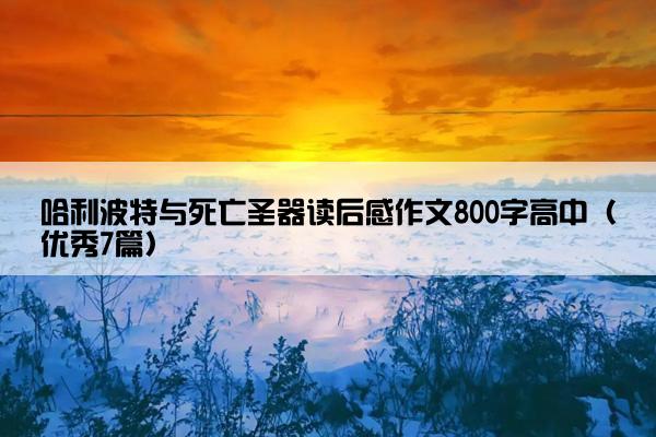 哈利波特与死亡圣器读后感作文800字高中（优秀7篇）
