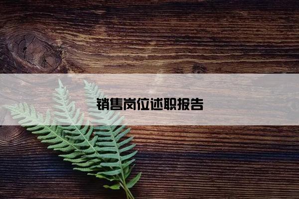 销售岗位述职报告