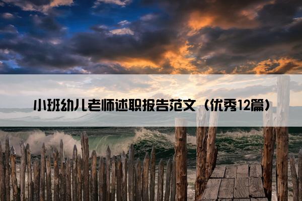 小班幼儿老师述职报告范文（优秀12篇）