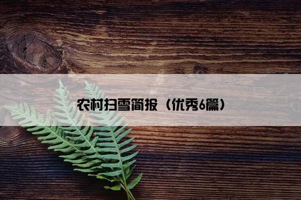 农村扫雪简报（优秀6篇）