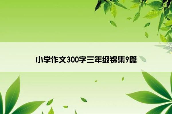小学作文300字三年级锦集9篇