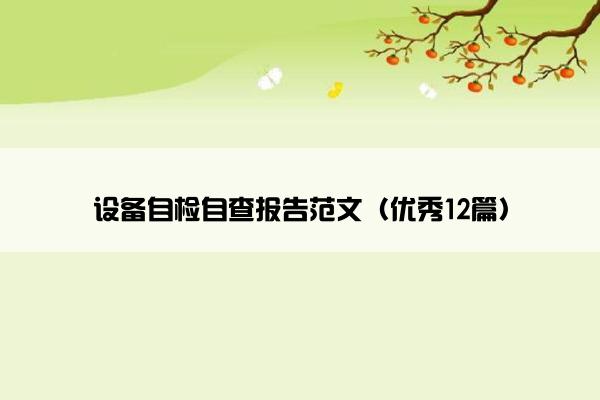 设备自检自查报告范文（优秀12篇）