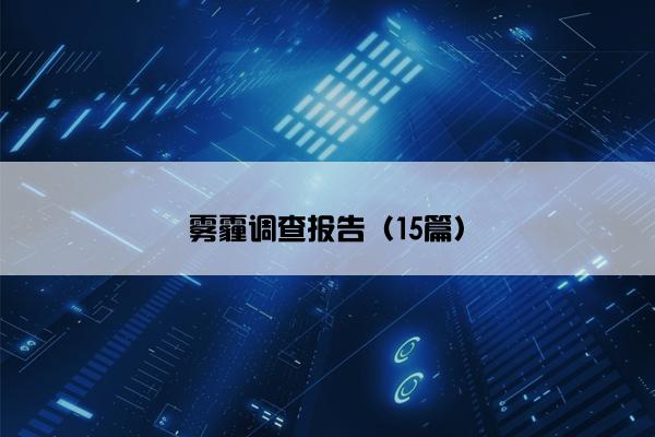 雾霾调查报告（15篇）