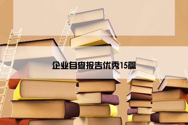 企业自查报告优秀15篇