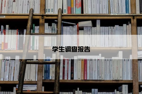 学生调查报告