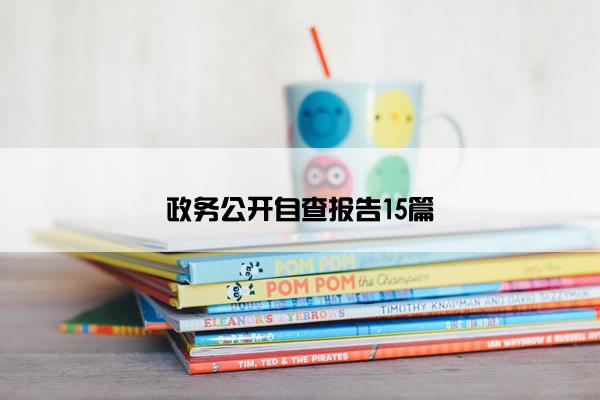 政务公开自查报告15篇
