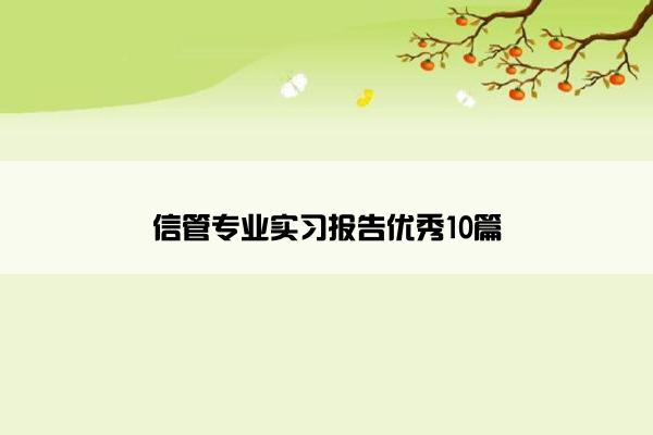 信管专业实习报告优秀10篇